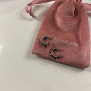 Silvriga örhängen med nitar från Edblad - Coola silvriga örhängen från Edblad i form av små hoops med markerade nitar runt hela ringen. Säljs med original rosa sammetsfodral. Perfekta för dig som gillar en edgy och modern stil. (Använt 2/4 gånger)