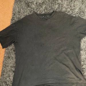 Svart t-shirt med tryck från Zara XL - svart t-shirt från Zara i storlek XL. Baksidan har ett stort tryck med blå himmel, moln och en glansig anka med metalliska stjärnor. T-shirten är i mjuk bomull och har klassisk passform med korta ärmar och rund hals.