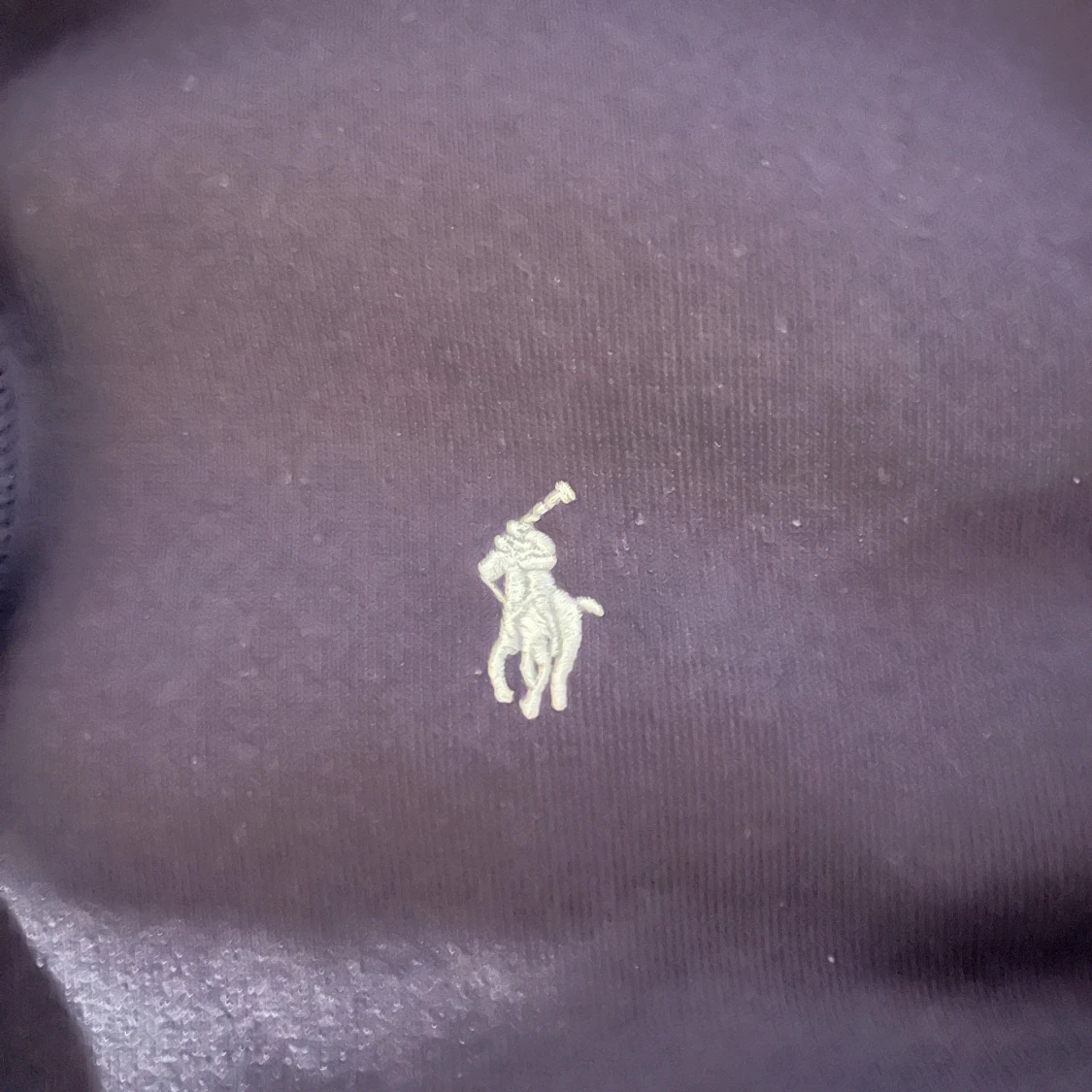 Mörkblå hoodie från Polo Ralph Lauren - 1