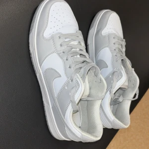 Nike Dunk Low i vitt och grått - Helt nya använda en gång men dom var små på mina fötter storlek 42