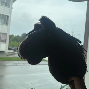 Fin hööks häst säljes - Här kan ni då se en hööks häst som jag säljer då jaghar tappar intresset av käpphästar. Man får massor av utrustning med sig:).De här har varit min näst bästa häst men då jag har slutat tycker jag nån annan borde få ta över hen🫶🏻,  260 kr kosta den när jag köpte den säljer den för 200 eller 160-180 kr 😊