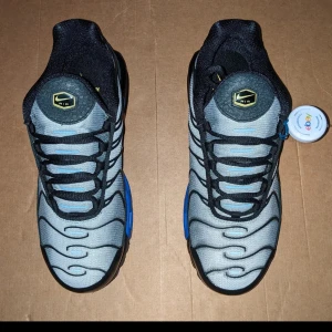 Nike Tn i grå och blå - Snygga Nike TN sneakers i grått med svarta detaljer och blå sula. Skorna är perfekta inför sommaren och riktig sköna