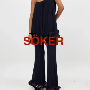 Söker NAKD X Lojsan 34/36 - Söker detta set i 34 eller 36