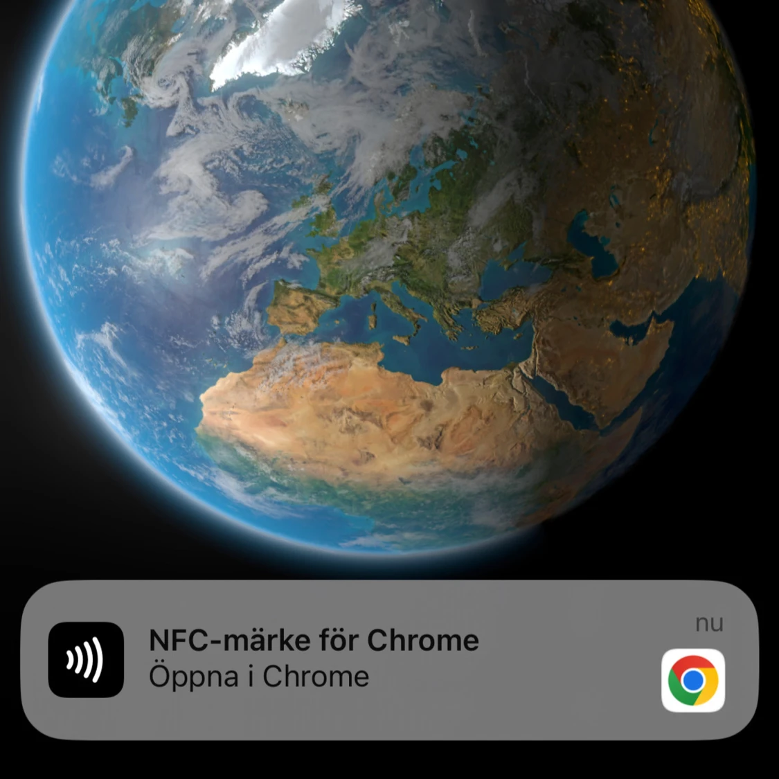 Moncler cardigan - 3