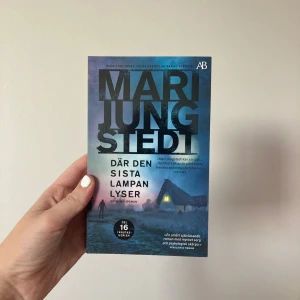 Där den sista lampan lyser - En spännande kriminalroman om mystiska försvinnanden på Gotland. Perfekt för dig som gillar nervkittlande deckare och vill följa kommissarie Knutas i hans jakt på sanningen. Del 16 i den populära Knutas-serien.