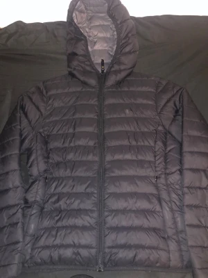 Svart pufferjacka från Hang Ten - Svart pufferjacka från Hang Ten med huva och hel dragkedja framtill. Jackan har ett quiltat mönster och är tillverkad i polyester. På bröstet finns en diskret logga med två fötter. Perfekt för kyliga dagar och enkel att matcha med din stil.