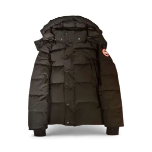 Svart dunjacka från Canada Goose - Säljer en svart dunjacka från Canada Goose med klassisk patch på ärmen. Jackan har huva, breda quiltade sektioner och stängs med både dragkedja och knappar. Perfekt för kalla vinterdagar och har en riktigt clean och tidlös look. Skriv för fler bilder!