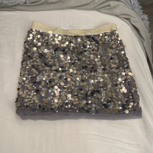 Glittrig paljettkjol från Lindex - Superfin kortkjol från Lindex med massor av glittrande paljetter i guld och silver. Kjolen har en elastisk midja i guld och är perfekt för dig som vill sticka ut. Basen är grå och materialet känns mjukt och bekvämt.