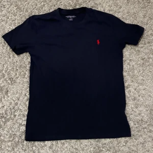 Ralph lauren tröja - Tröjan är väl omhändertagen. Från Ralph lauren i storleken L