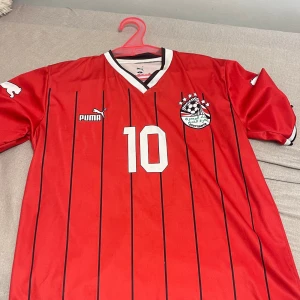 Egypt Salah #10 Puma fotbollströja L - Röd Egypten fotbollströja från Puma med svarta vertikala ränder, nummer 10 och M. Salah på ryggen. V-ringad krage med vit och svart kant, korta ärmar och tryckt landslagsmärke på bröstet. Tillverkad i polyester, perfekt för match eller träning.