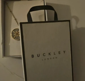 Guldigt halsband med stjärnhänge Buckley - Snyggt halsband från Buckley London i guldfärgad metall med ett runt hänge dekorerat med glittrande stenar och en stjärndesign i mitten. Perfekt för dig som gillar detaljer och vill ha något som sticker ut.