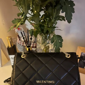 Svart quiltad axelväska Valentino - Snygg svart axelväska från Mario Valentino med quiltad design och guldfärgade kedjedetaljer. Väskan har dragkedja och magnetlås, samt ett rymligt fack inuti. Köpt för ett år sen så lite avmärkningar på väskan inuti (bild nmr 3) men absolut inget man tänker på. Köpt för 1500kr från zalando. Går självklart att diskutera pris❤️