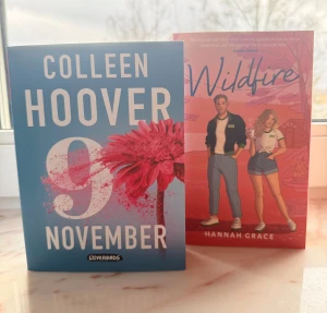 Böcker  - Helt nya böcker som aldrig har lästs. Colleen Hoover 9 November och Hannah Grace Wildfire är böckerna. 