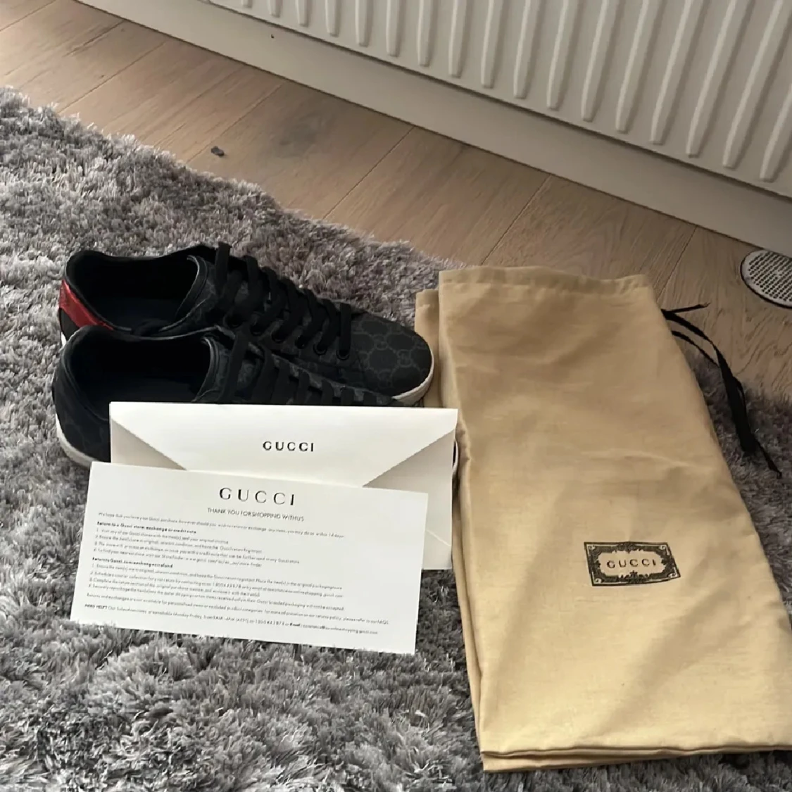 Gucci ace