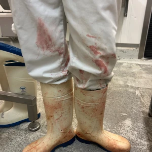 Stövlar - Säljer ett par grischstövlar. ensast använt 2 gånger