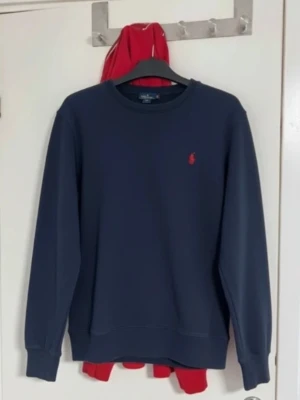 Ralph Lauren  - Ralph Lauren sweat shirt 
