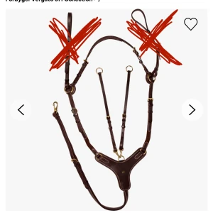 Brunt martingal  - Brun martingal med mässingspännen från JH collection, ny pris ligger på 899kr mitt pris 250kr, remmen som går under bogen mot sadelgjorden har en remm som jag klippt kort för den störde min häst, storlek cob 