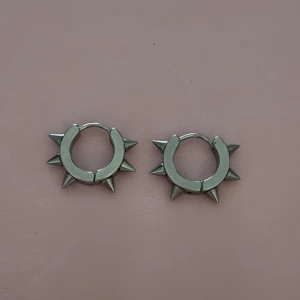 Silvriga örhängen med spikes - Coola silvriga örhängen i ringmodell med vassa spikes runt om. 