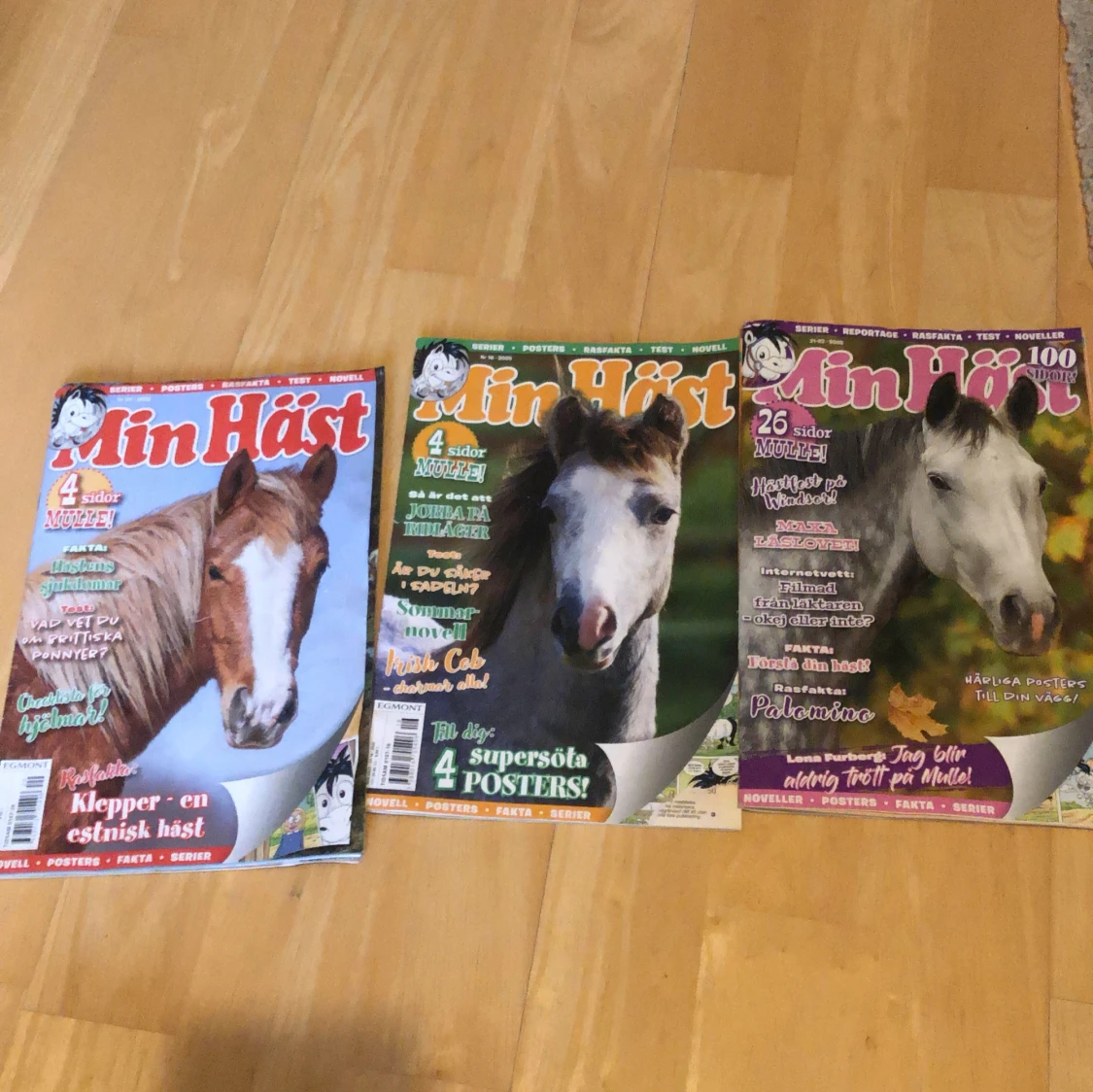 Min Häst - 4