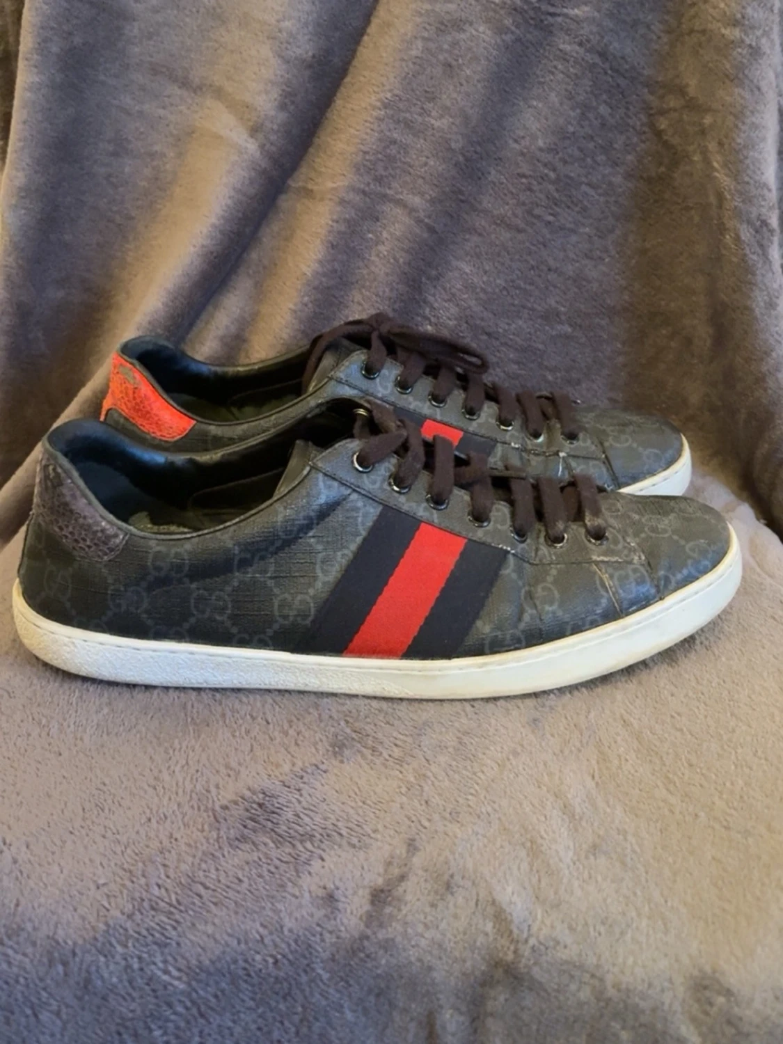 Gucci ace 