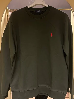 Grön sweatshirt från Polo Ralph Lauren - Snygg grön sweatshirt från Polo Ralph Lauren med klassisk röd logobrodyr på bröstet. Tröjan har rund hals, långa ärmar och ribbade muddar vid ärmslut och nederkant. Perfekt för chill dagar och enkel att matcha med jeans eller joggers.