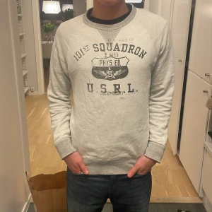 Ralph Lauren tröja  - Snygg grå sweatshirt från Polo Ralph Lauren med tryck. Tröjan är i bra skick. Köparen står för frakt! Skriv vid funderingar