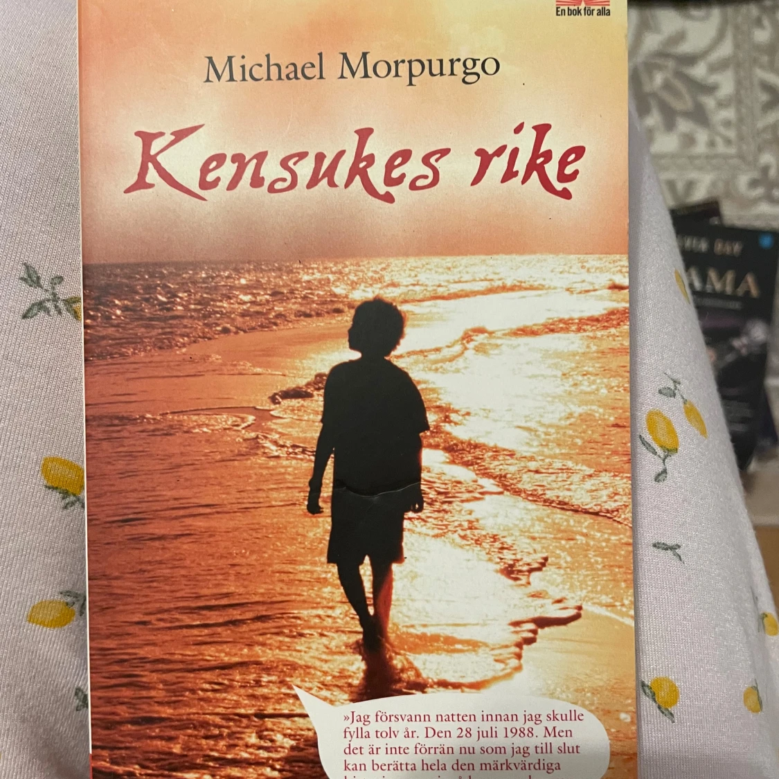 Kensukes rike -pocket bok