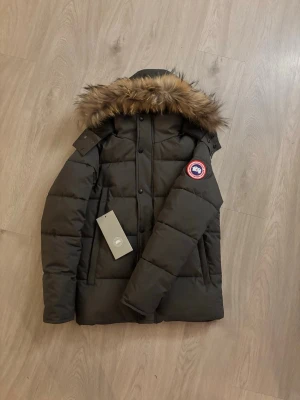 Canada Goose jacka grå - Säljer en grå dunjacka från Canada Goose med avtagbar pälskant på huvan. Jackan har klassisk patch på ärmen, dragkedja och knappar framtill samt två sidofickor. Perfekt för kalla dagar och riktigt snygg passform. Priset kan diskuteras 