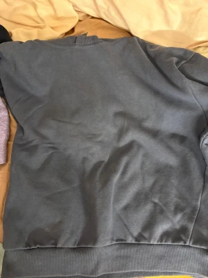 Hoodie - Den är i fint skick. Säljer pga att den aldrig används 