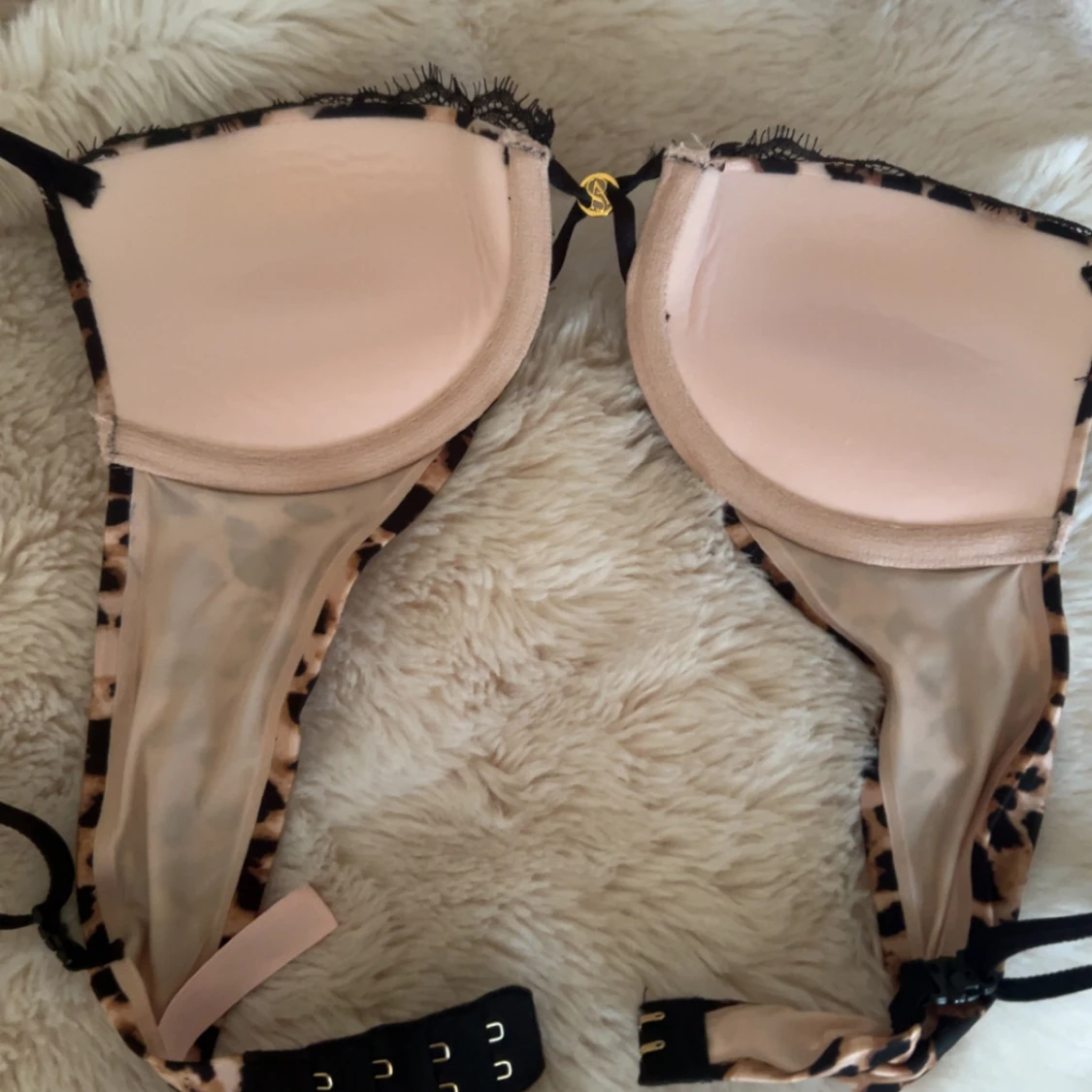 Leopard BH ifrån VS - 2