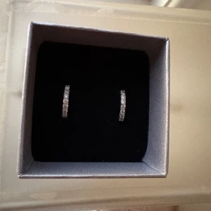 Glittriga silverörhängen i hoops - Säljer ett par snygga hoops i silverfärg med glittriga stenar längs hela ringen. Perfekta för dig som gillar stilrena och glittriga detaljer. Örhängena är tunna och har en klassisk rund form som passar till allt. Äkta silver.