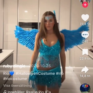 Halloween kostym Rio-frågan ”blue”  - Säljer min halloween kostym då jag inte behöver den när tanken är att jag ska ha den! Det är vingar med, både topp o kjol, paljetter i ansiktet, fjäder vid huvudet och fjädrar vid händerna som armband (kom dm för egna bilder). 