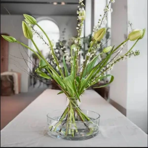 Twist Uf - Hanataba Twist Up är en innovativ blomarrangör som gör det enkelt att skapa vackra buketter. Produkten är i genomskinlig plast och levereras med originalförpackning. Perfekt skick, inga synliga defekter eller slitage. Passar både hem och professionella miljöer. Genomskinlig så att fokuset inte tas från buketten 