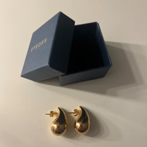 Örhängen - Örhängen från Byborn. Använda 2 gånger. 