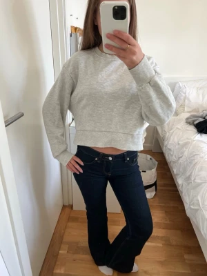 Ljusgrå croppad sweatshirt - En stilren ljusgrå croppad sweatshirt med rund hals och långa ärmar. Tröjan har en loose passform och är tillverkad i mjukt bomullsmaterial. Perfekt för en avslappnad och trendig look.