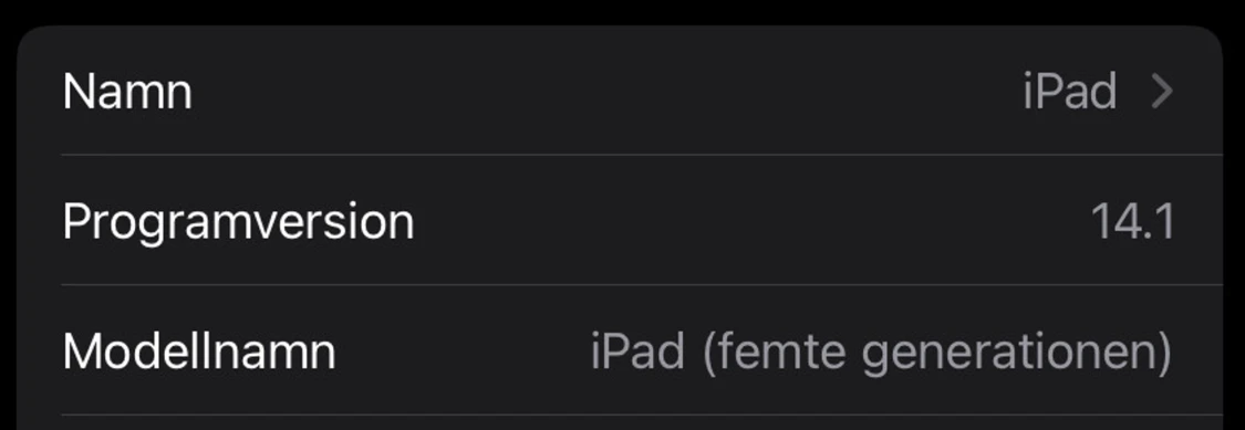 iPad (femte generationen) - 2