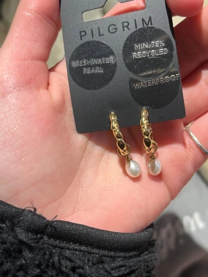 Guldörhängen med pärlor från Pilgrim - Snygga örhängen från Pilgrim med guldfärgade, strukturerade ringar och hängande sötvattenspärlor. Designen är modern med en cool twist på klassiska pärlörhängen. Perfekt för dig som gillar att sticka ut med detaljer och guldtoner. Dessa har ej används innan 