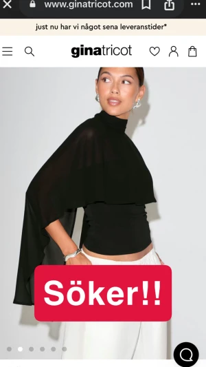 Blus  - Söker!! Denna otroliga blus, storlek 32 eller 34 