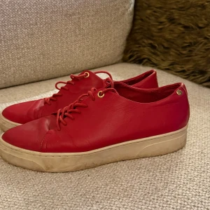 Röda sneakers - Snygga röda sneakers från Agnes Cecilia med platt vit sula och guldfärgade detaljer vid snörningen. Skorna är tillverkade i skinn och har en rund tå. Perfekt för dig som vill sticka ut med färg på fötterna och gillar stilrena detaljer.