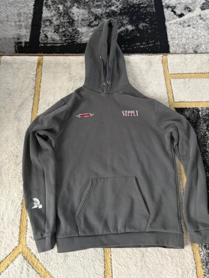 Grå hoodie Supply & Demand S - Grå hoodie från Supply & Demand med tryck på bröstet och stor grafisk ängel på ryggen. Fickor framtill, snörning i huvan och coola duvor på ärmarna. Skön och avslappnad passform, perfekt för streetwear-vibe.