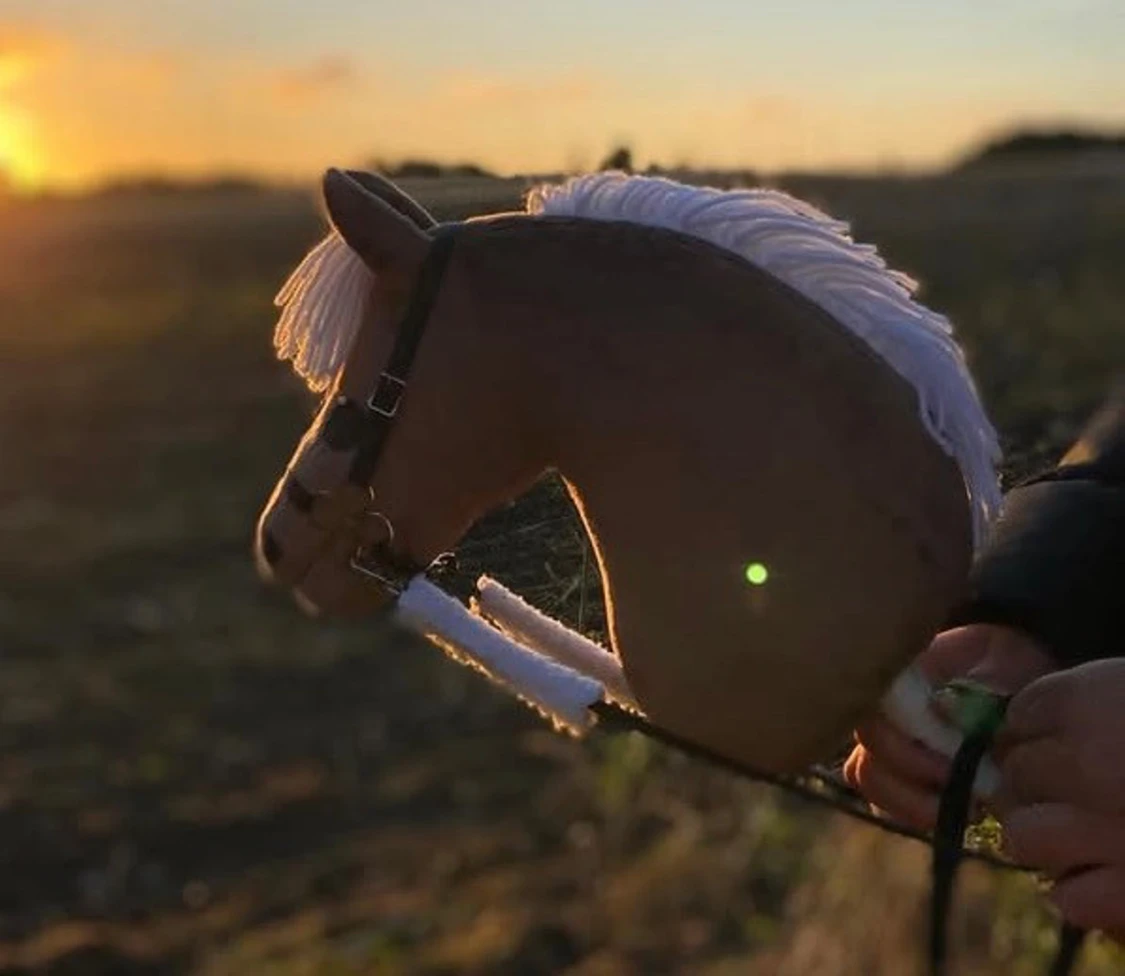 Käpphäst till salu