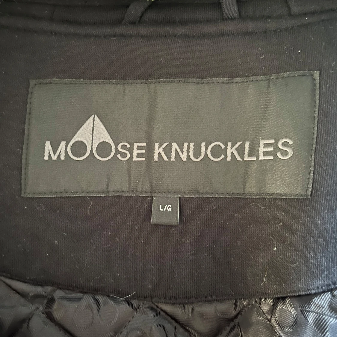 Moose knuckels Bunny - 2