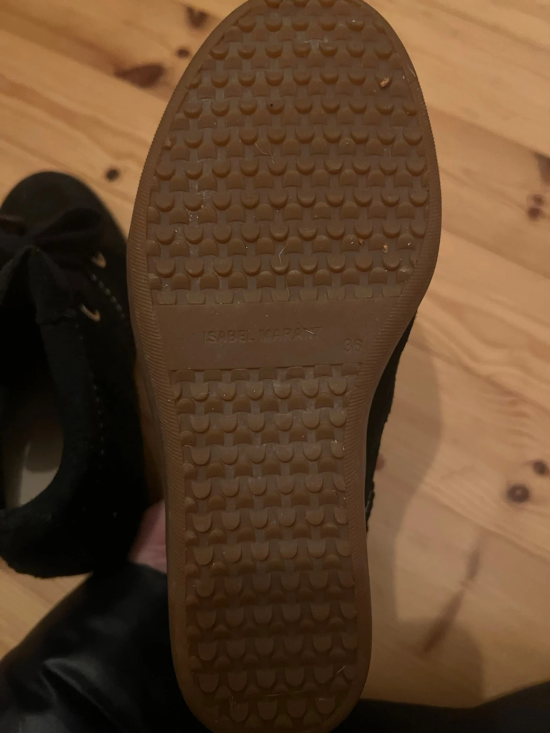 Svarta Isabel marants - 4