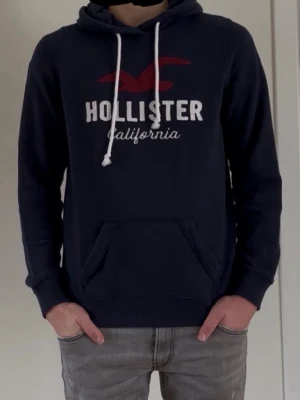 Hollister hoodie vintage - Superfin hoodie i top skick ändrar lite slitage på snörena! Skriv till mig vid eventuella frågor osv svarar snabbt!!!!! Modellen är 179cm