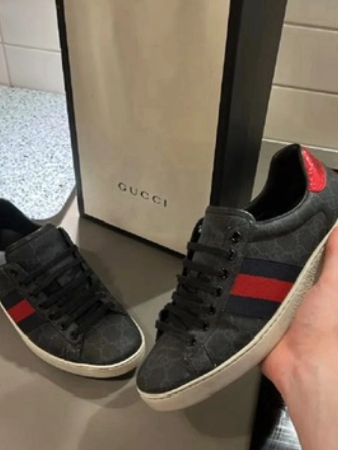 Gucci ace