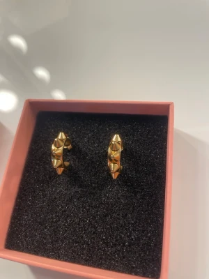 Edblad örhängen i guld💛 - Säljer ett par Edblad örhängen i guld i mycket bra skick. Eventuellt några små små repor på men ingenting som påverkar varans tillstånd🩷 Tvättas såklart innan leverans så du får dom som nya🥰 