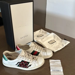 Gucci Ace snake - Box kvitto dustbags ingår också. Använda men fortfarande i hyfsat skick och går definitivt att rena upp. Säljer då de är för små pris går att diskutera.