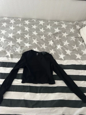 Svart croppad långärmad tränings topp H&M - En svart croppad tränings topp från H&M med lång ärm och rund halsringning. Materialet är ribbat och ger en snygg struktur. 