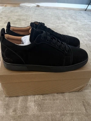 Svarta Christian Louboutin - Storlek 45  Christian Louboutin, använda fåtal gånger. Box medföljer