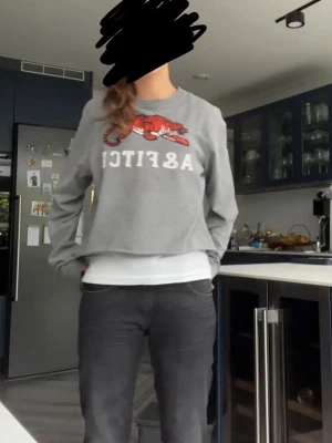 Grå sweatshirt Abercrombie & Fitch tiger - Passar mig 168! Grå sweatshirt från Abercrombie & Fitch med broderad orange tiger och vit text på bröstet. Tröjan har rund halsringning och är i mjukt bomullsmaterial. Perfekt för en avslappnad och cool stil.